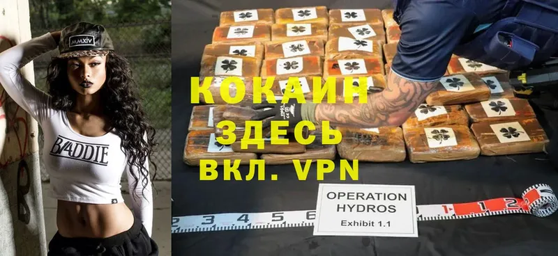 КОКАИН FishScale  продажа наркотиков  Губаха 