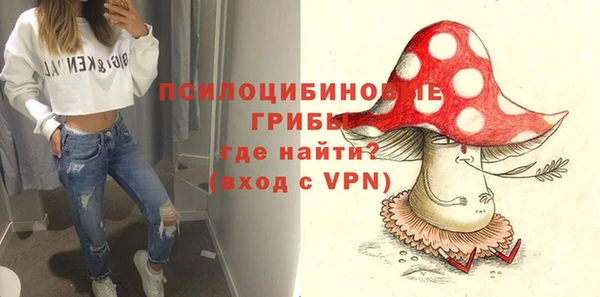 прущий лед Надым