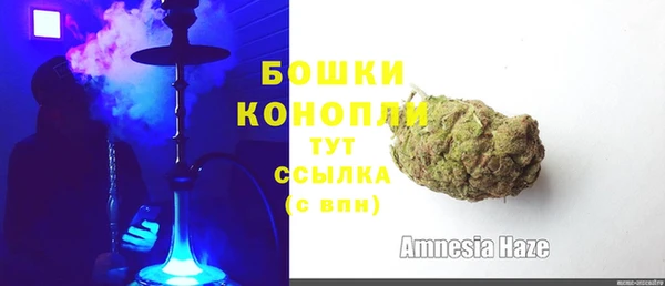 индика Домодедово