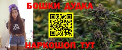 гидропоника Будённовск