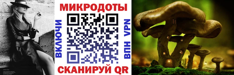 Галлюциногенные грибы Psilocybine cubensis  наркотики  Губаха 