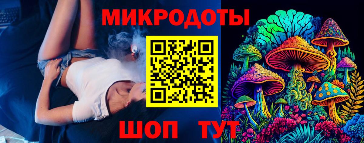 Галлюциногенные грибы Psilocybe Губаха