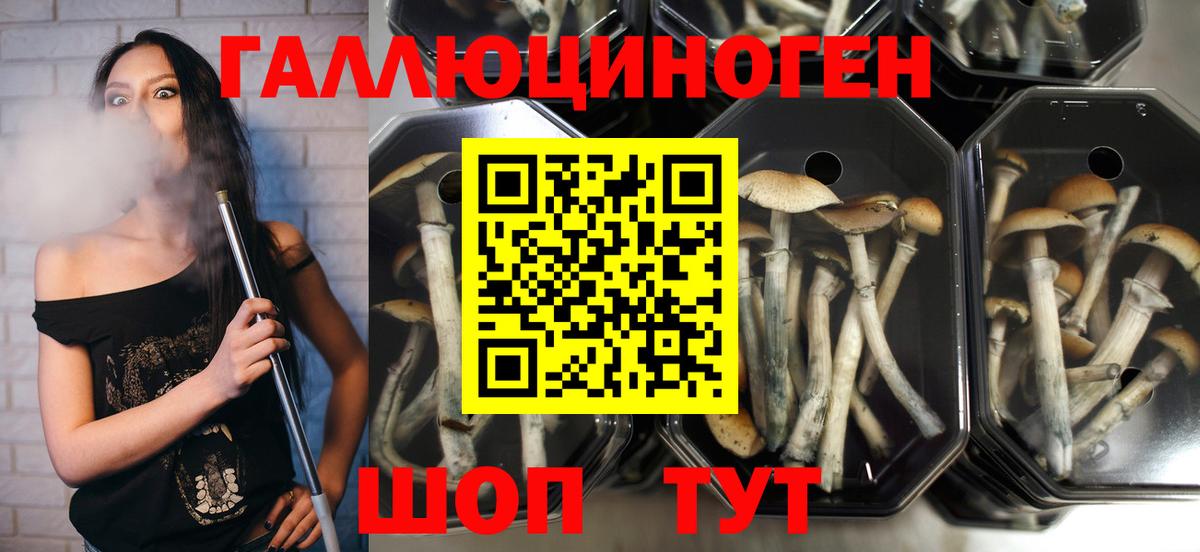 Псилоцибиновые грибы Magic Shrooms  Псилоцибиновые грибы Psilocybe  Вход с VPN  Губаха 