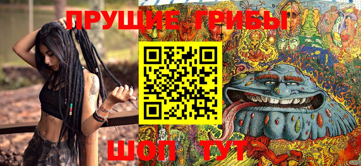 Галлюциногенные грибы ЛСД Губаха